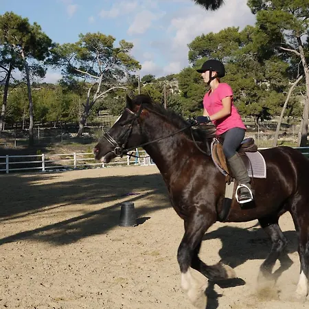 Fantastic Junior Cz02 Salamis With Gorgeous Views, Aphrodite Hills ヴィラ *