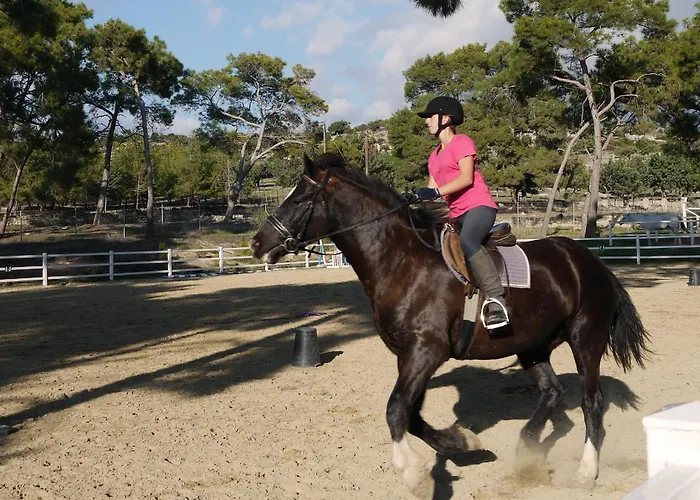 Fantastic Junior Cz02 Salamis With Gorgeous Views, Aphrodite Hills Willa *